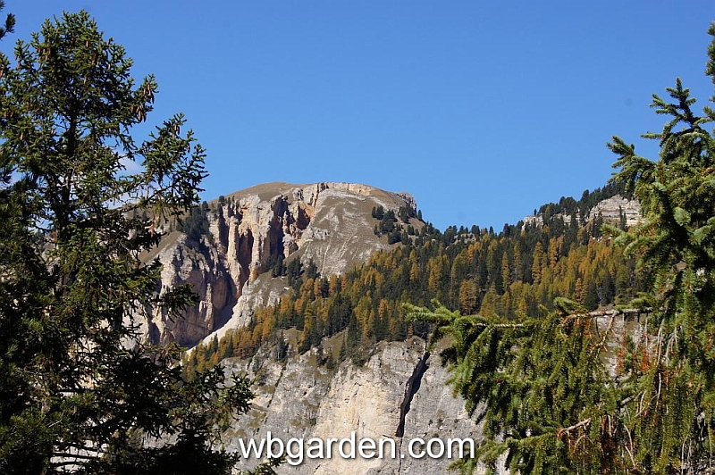 wbgarden alps 100.JPG